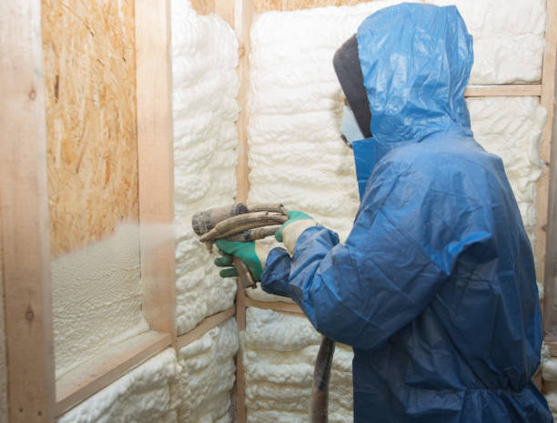 Best Blown-In Insulation  in Camanche, IA